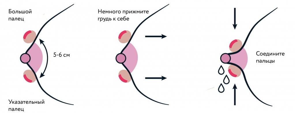 Техника сцеживания молока при лактостазе руками — техника Marmet